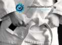 Six Sigma: Lean Six Sigma White Belt (Accredited)