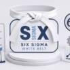 Six Sigma White Belt: Certification Practice Exam