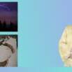 Some Natural Phenomena Class 8 Science
