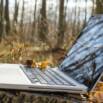 Spring With Spring Boot And Hibernate For Beginners