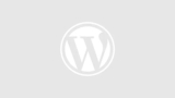 Start Tools Online Business with WordPress & ChatGPT!
