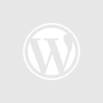 Start Tools Online Business with WordPress & ChatGPT!