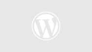 Start Tools Online Business with WordPress & ChatGPT!