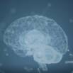 Strengthen Your Mental Wellness