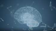 Strengthen Your Mental Wellness