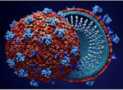 Study of Virology
