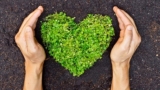Sustainable Tourism Development