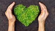 Sustainable Tourism Development
