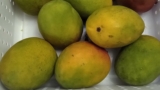 Sustaining Healthy Eating