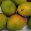 Sustaining Healthy Eating