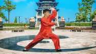Tai Chi Qi Gong Moves For Beginners – For Energy, Arthritis