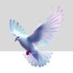 The 64 Human Design Gifts: 6 – Peacemaker