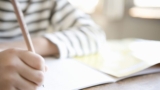 The Art Of Stellar Essay Writing: A Guide For Beginners