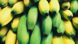 The Best Diet In The World Step By Step
