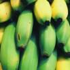 The Best Diet In The World Step By Step