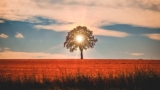 The Cause Of Your Fears And Unhappiness | Negative Ideas