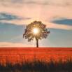 The Cause Of Your Fears And Unhappiness | Negative Ideas