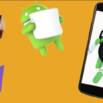 The Complete Android Oreo(8.1) , N ,m And Java Development