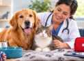 The Complete Dog & Cat Care Masterclass