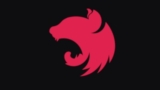 The complete NestJS developer. Enterprise Node.js framework