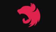 The complete NestJS developer. Enterprise Node.js framework