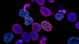 The Foundations Of Biology: An Introduction