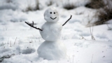 The Healthy Winter Course