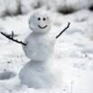 The Healthy Winter Course