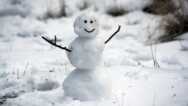 The Healthy Winter Course