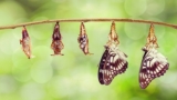 FastAPI Prerequisite: Pydantic, Dependency Injection, Python