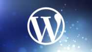 The Mini WordPress Theme Development Course For Beginners