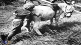 The Physics of Behavior Change