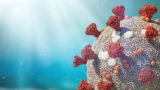 The Symbolic Meaning Of The Coronavirus