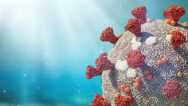 The Symbolic Meaning Of The Coronavirus