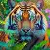 The Ultimate Adobe Photoshop CC Fundamental Course