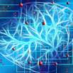 Theoretical aspects of Natural Language Processing