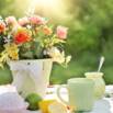 Transform Your Space With Joy
