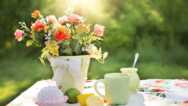 Transform Your Space With Joy