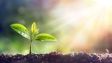 Transforming Your Life Using Seed System