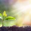 Transforming Your Life Using Seed System