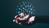 Tutorial gratuito sobre Economa global – Que es La Economia del Conocimiento en la Comunidad Global