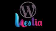 Ubuntu 22.04 HestiaCP Tutorial – Run WordPress on a VPS