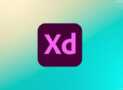UI/UX Design Masterclass with Adobe XD: From Beginner to Pro