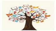Understanding Diaspora…