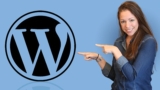 Understanding WordPress – Learn The Basics Of WordPress!