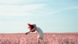 Unleash the Writer Within