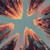 Unlocking Scale as a CEO