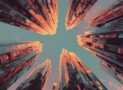 Unlocking Scale as a CEO