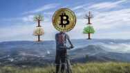 Using the Bitcoin Cycle for Financial Freedom & Retirement