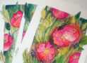 Watercolor poppies. From sketch to finished work.